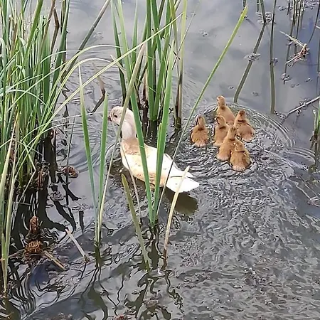 Nad Cedronem Vendégház 3*